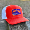 Clemson Tiger trucker hat, Clemson Football, Richardson Hat